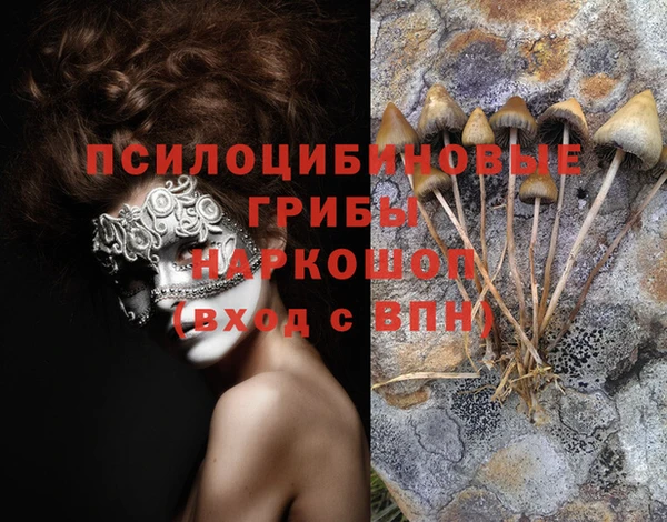 мдпв Богородицк