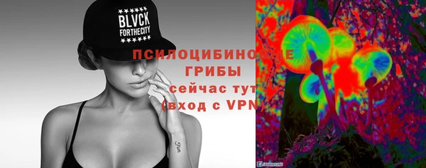 мдпв Богородицк