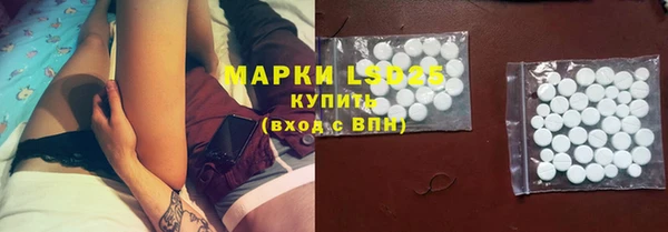 мдпв Богородицк