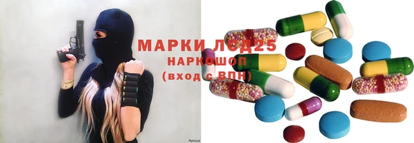 мдпв Богородицк
