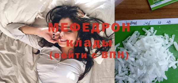 мдпв Богородицк