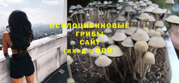таблы Богородск