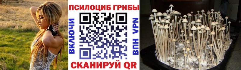 хочу наркоту  Ставрополь  Псилоцибиновые грибы MAGIC MUSHROOMS 
